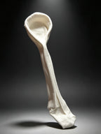 The Sock Spoon—— Small Spoon. Big Reactions.